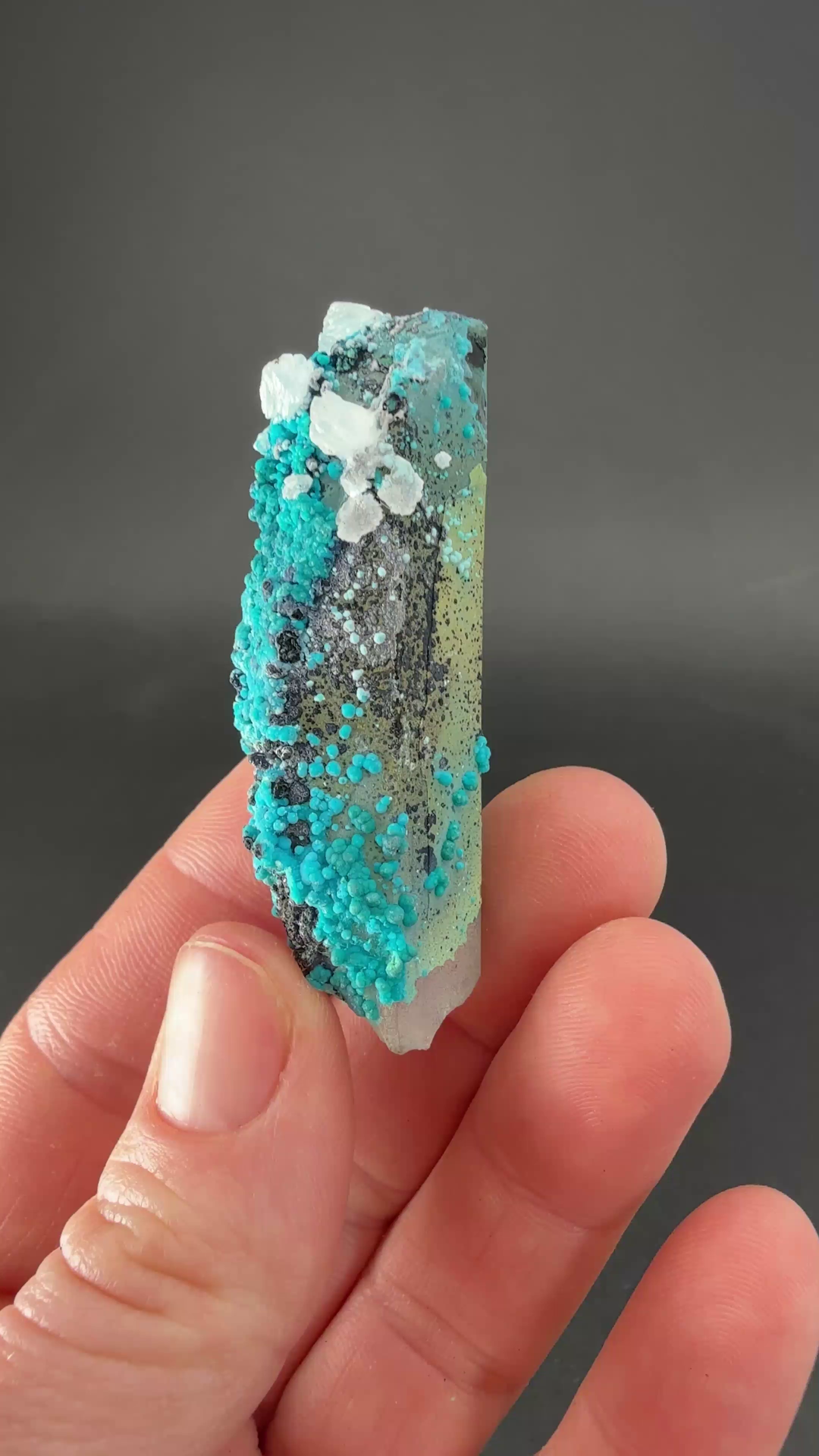 2" Quartz with Chrysocolla from Tentadora Mine DX1573