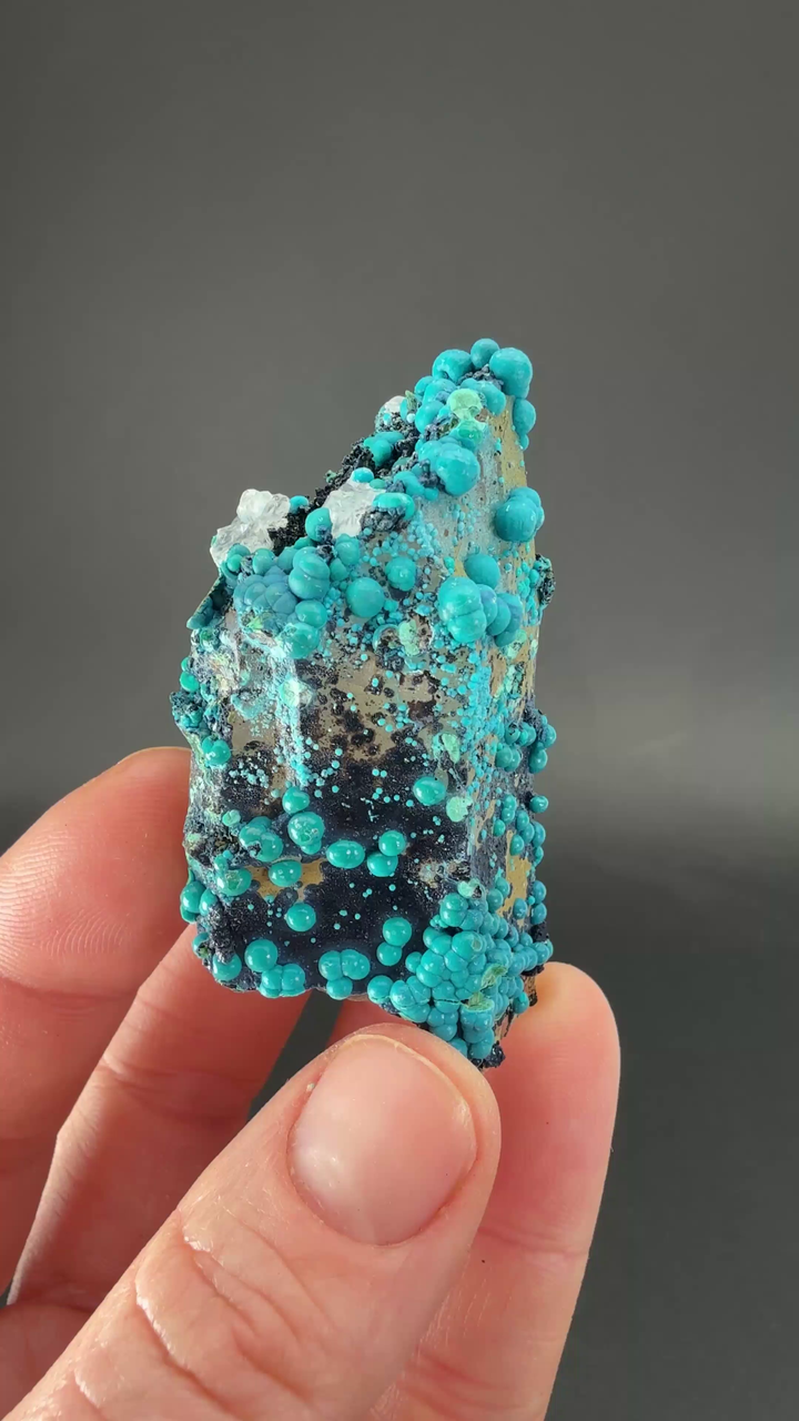 2.25" Quartz with Chrysocolla from Tentadora Mine DX1574