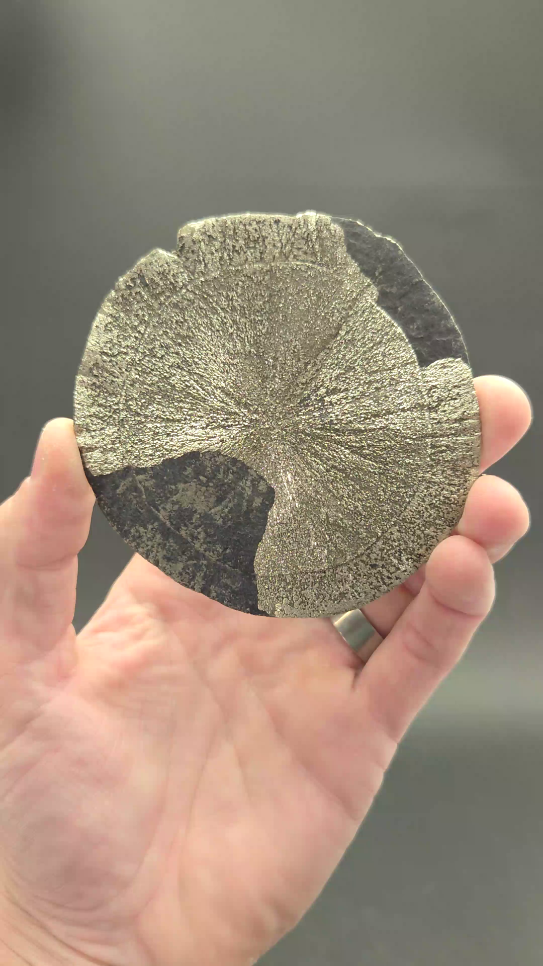 Pyrite Sun
