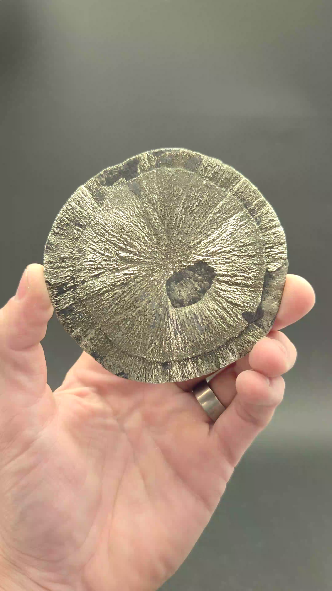 Pyrite Sun
