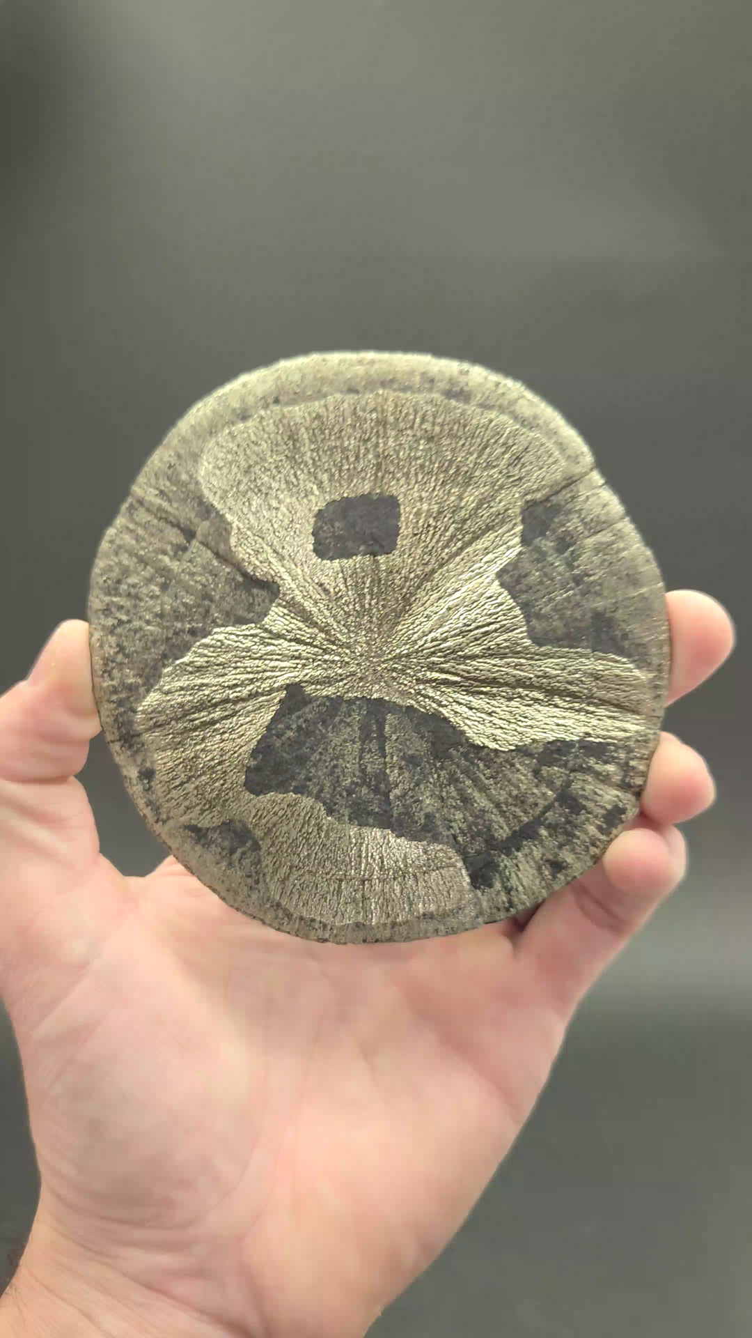 Pyrite Sun