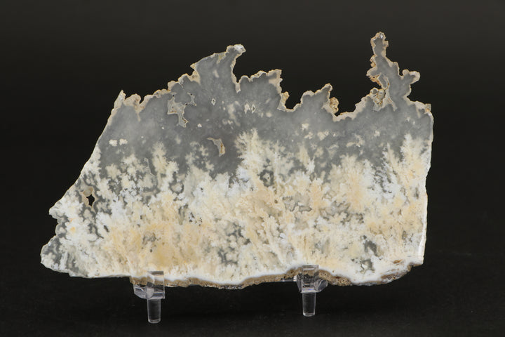 Nydegger Plume Agate - Post, Oregon DX1979