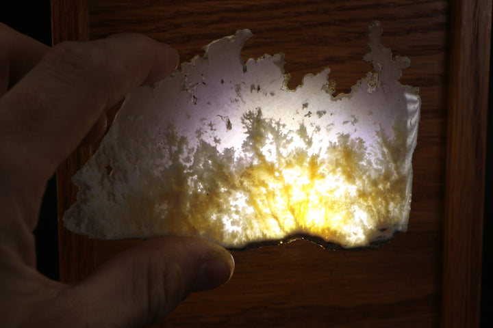 Nydegger Plume Agate - Post, Oregon DX1979