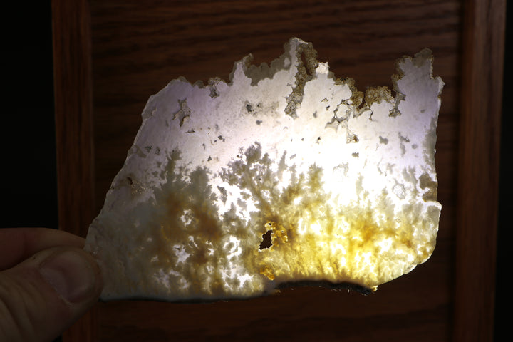 Nydegger Plume Agate - Post, Oregon DX1983