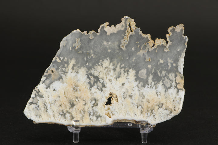 Nydegger Plume Agate - Post, Oregon DX1983