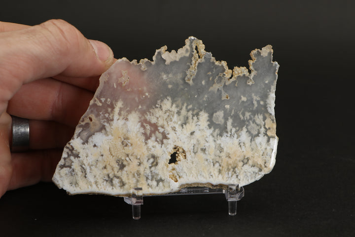 Nydegger Plume Agate - Post, Oregon DX1983