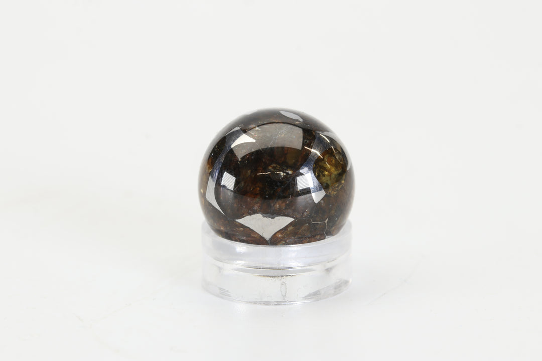 8.9 gram Seymchan Pallasite Meteorite Sphere DX2969