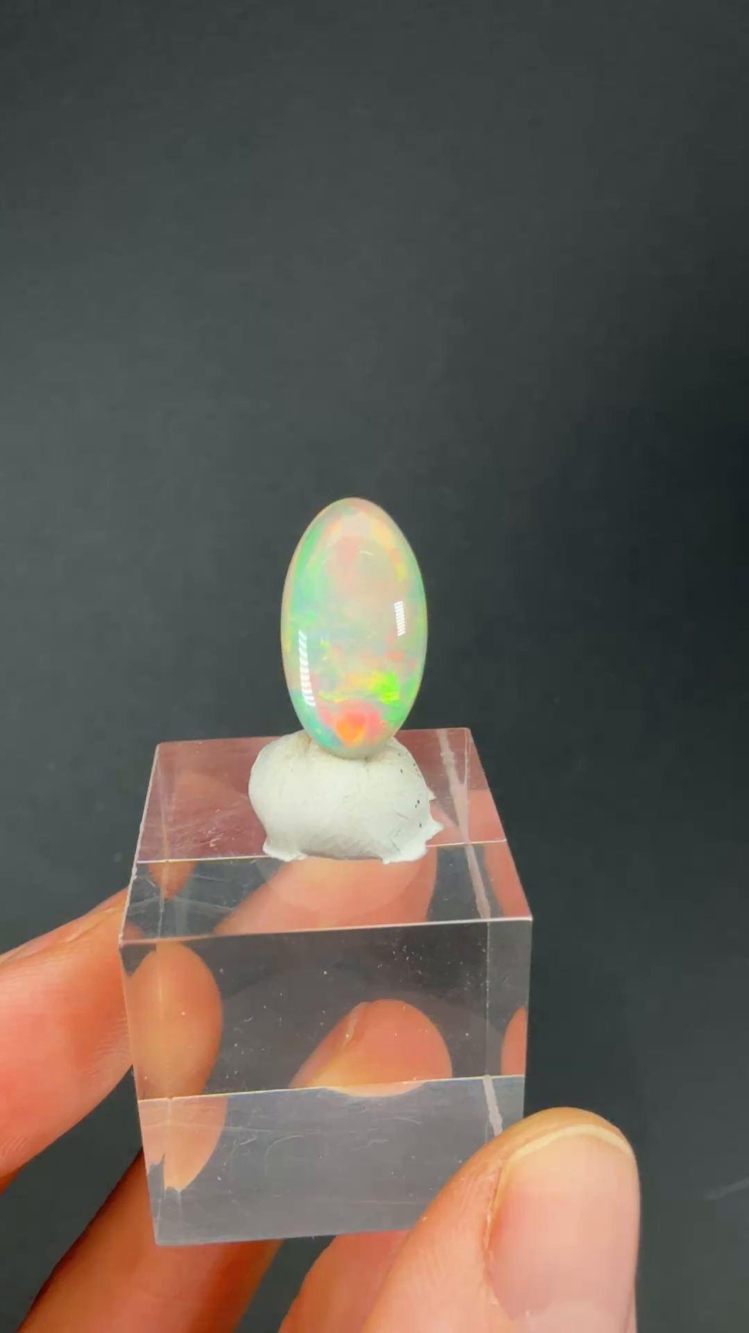 4.6 ct Polished Welo Opal DX2988