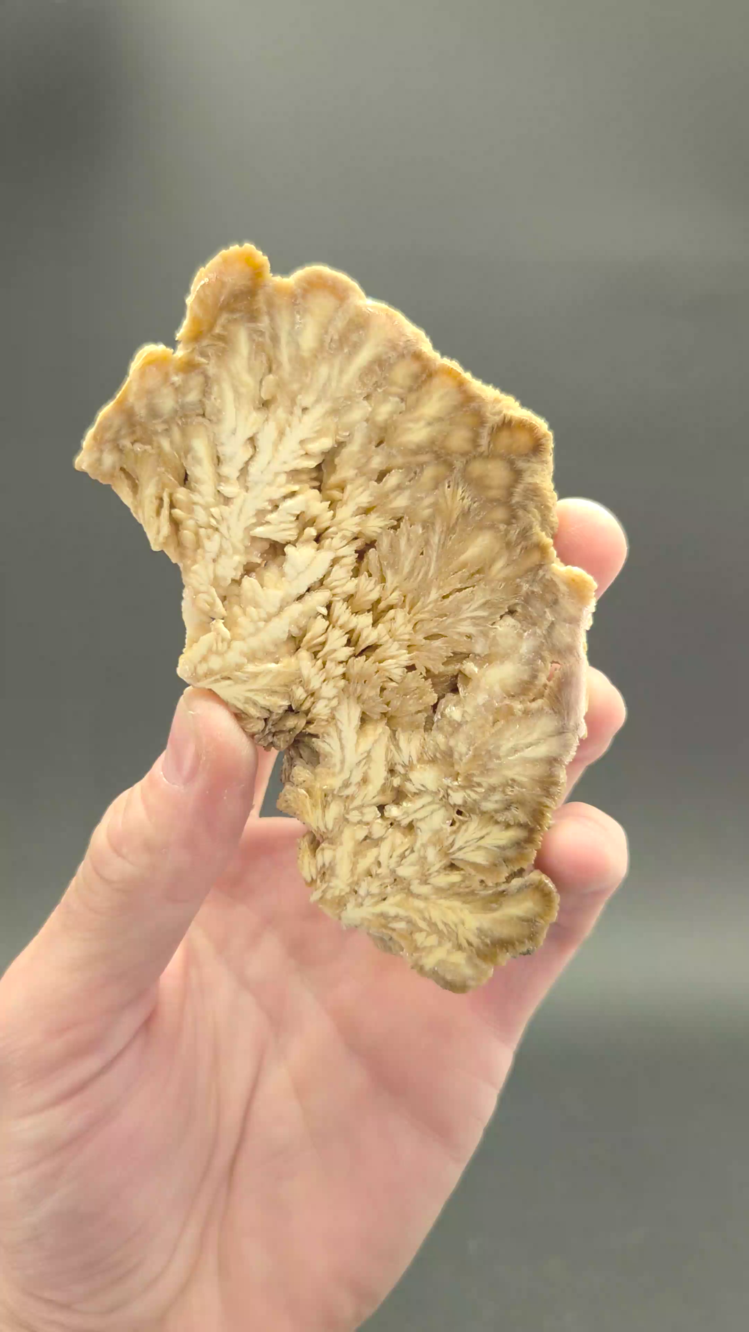 Polish Barite Slab
