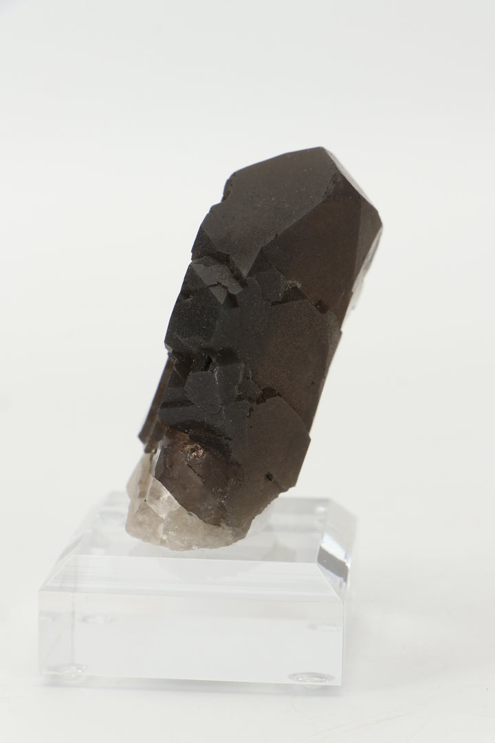 Smoky Quartz Gwindel from Mt. Blanc, France DX3443