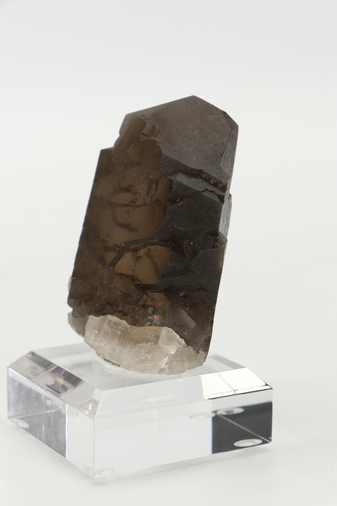 Smoky Quartz Gwindel from Mt. Blanc, France DX3443