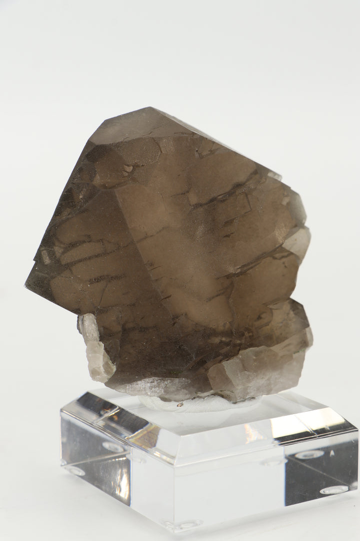 Smoky Quartz Gwindel from Mt. Blanc, France DX3443