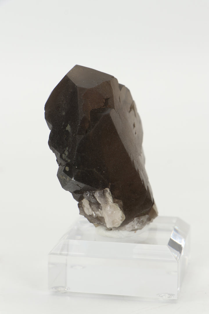 Smoky Quartz Gwindel from Mt. Blanc, France DX3443