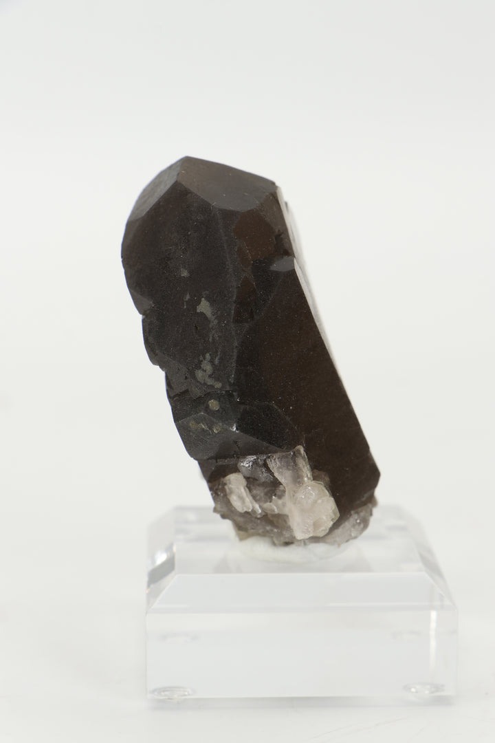 Smoky Quartz Gwindel from Mt. Blanc, France DX3443