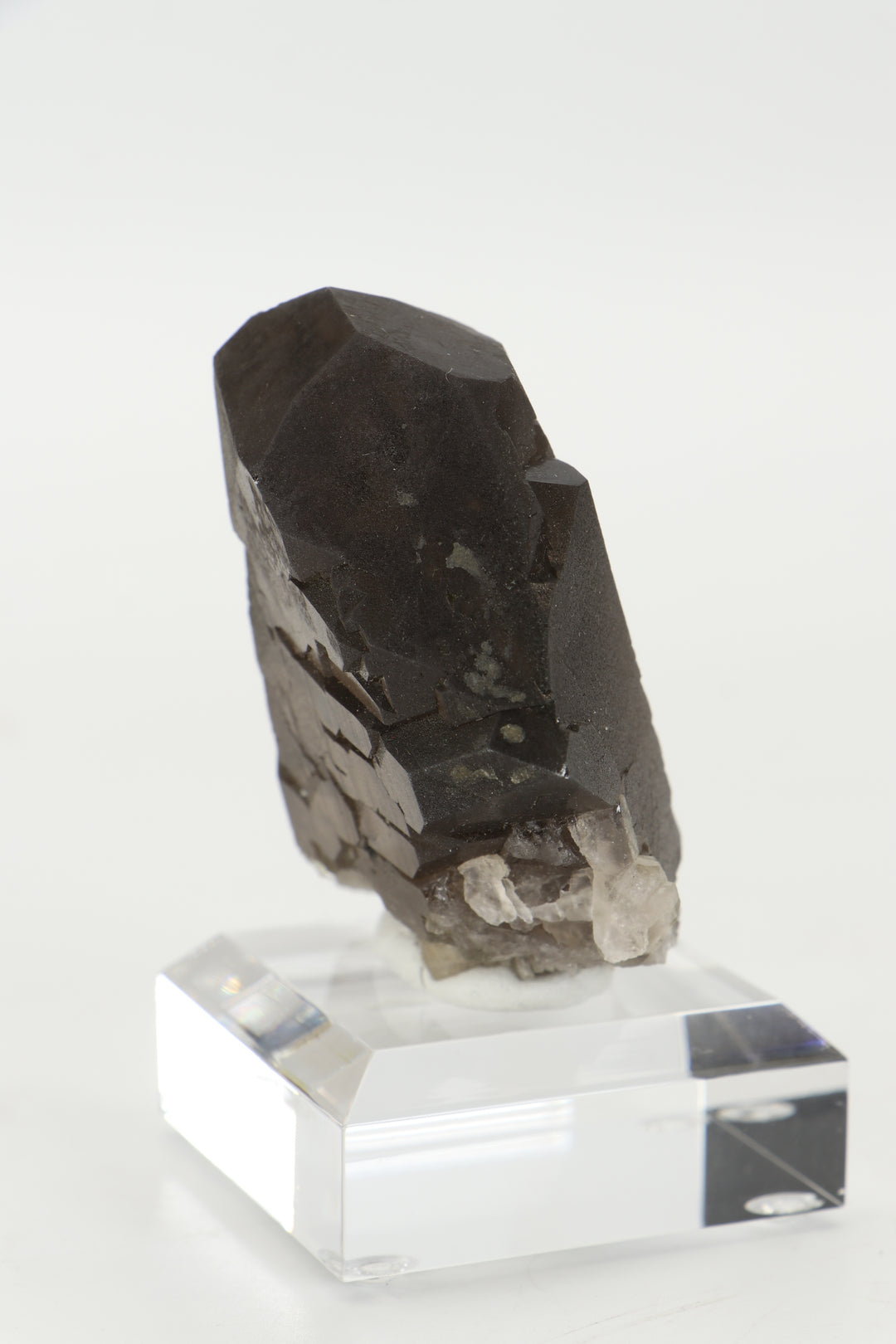 Smoky Quartz Gwindel from Mt. Blanc, France DX3443