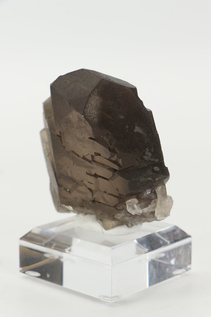 Smoky Quartz Gwindel from Mt. Blanc, France DX3443