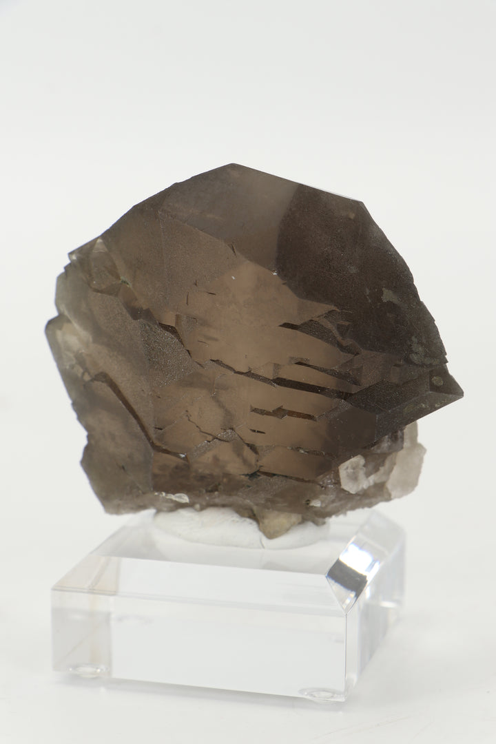 Smoky Quartz Gwindel from Mt. Blanc, France DX3443