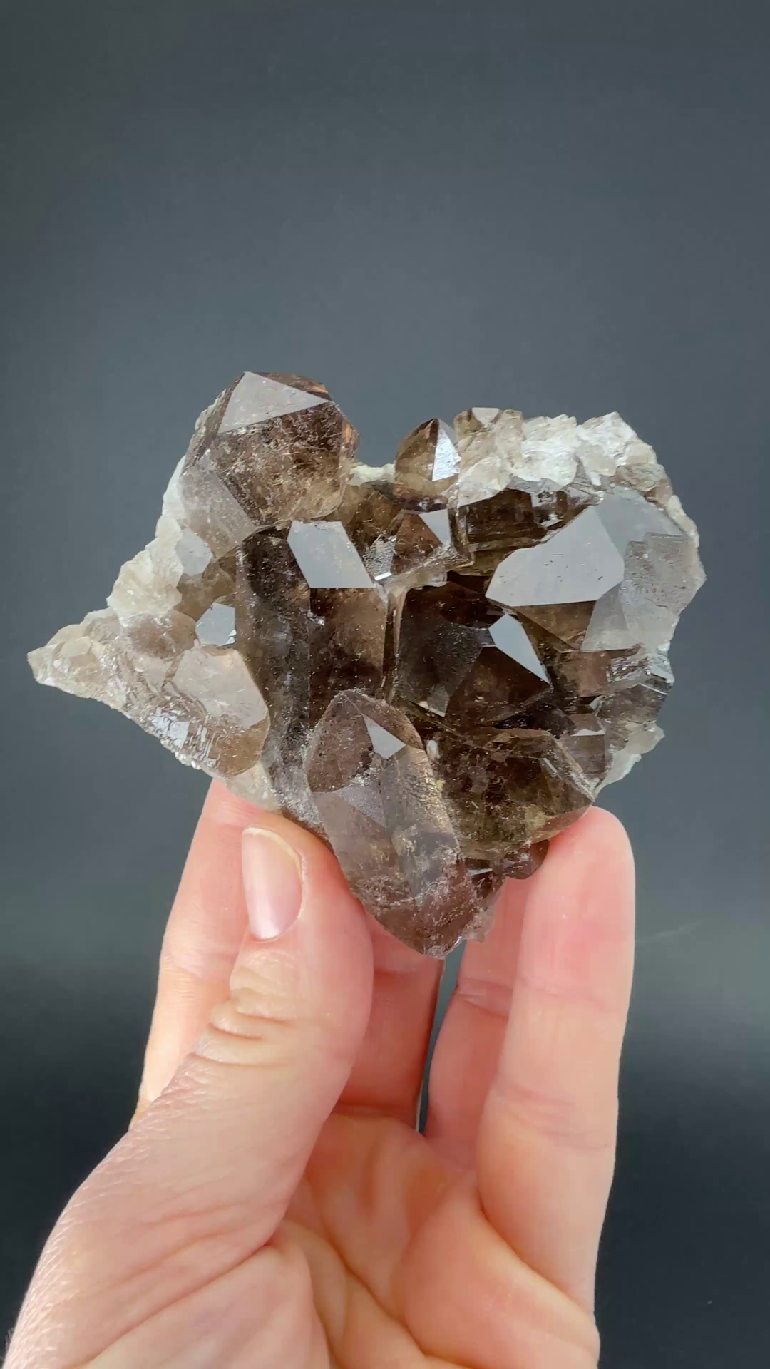 Smoky Quartz Cluster from Mt. Blanc DX3458