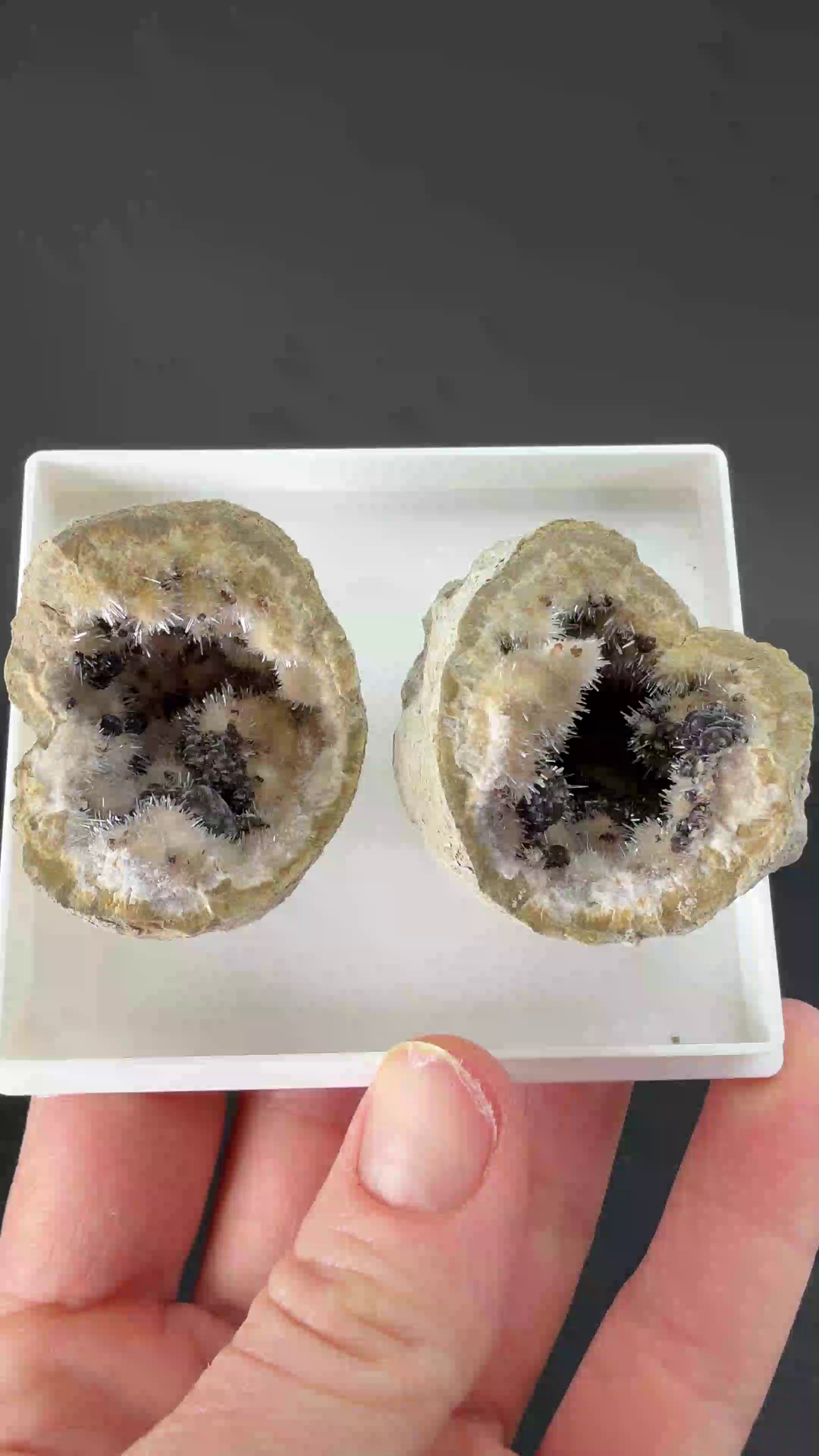 Kutnohorite with Aragonite Geode from Italy DX3522