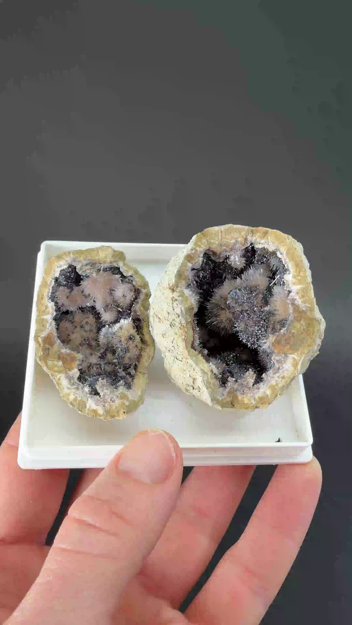Kutnohorite with Aragonite Geode from Italy DX3523