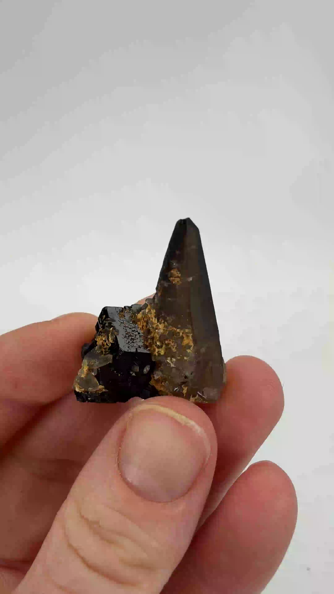 Smoky Quartz on Schorl from Namibia DX3528