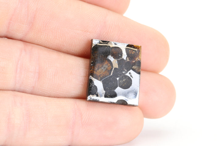 4.1 gram Brahin Meteorite Slab DX3591