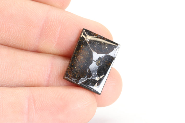 2.9 gram Brahin Meteorite Slab DX3596