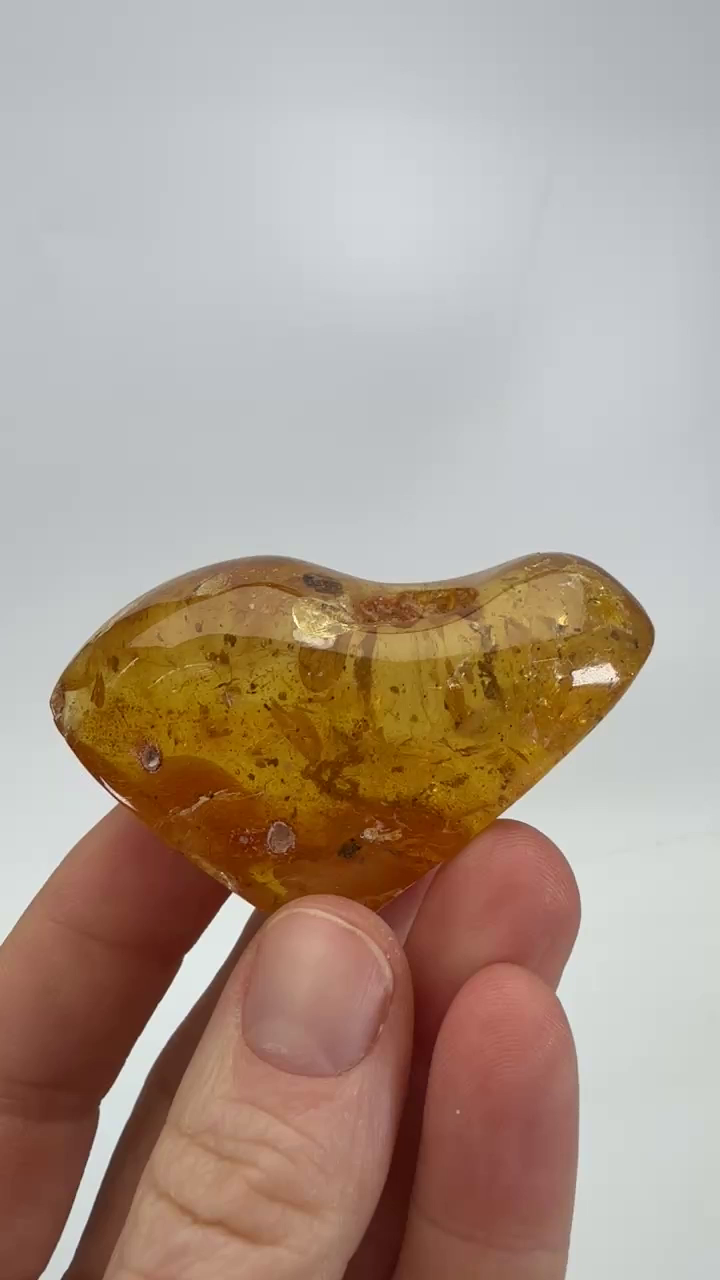 Colombian Copal with Insect Inclusions DX3953