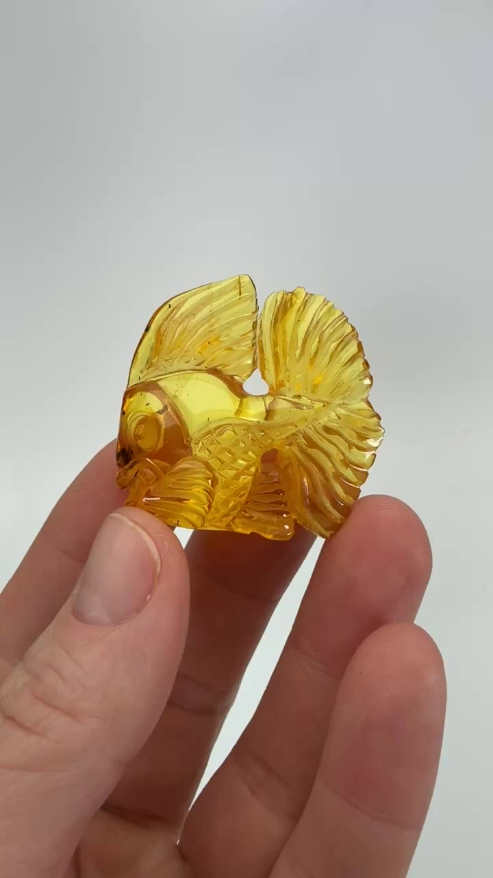 Baltic Amber Goldfish Carving DX4315