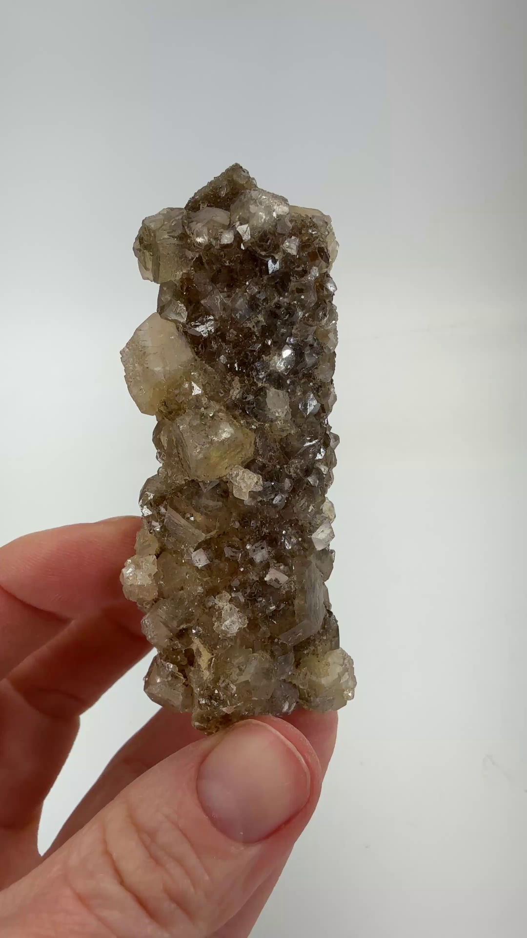 Quartz with Andradite Garnet from Bor Mine DX4540
