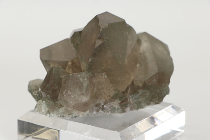 Smoky Quartz Gwindel Cluster with Chlorite from Mt. Blanc DX4575
