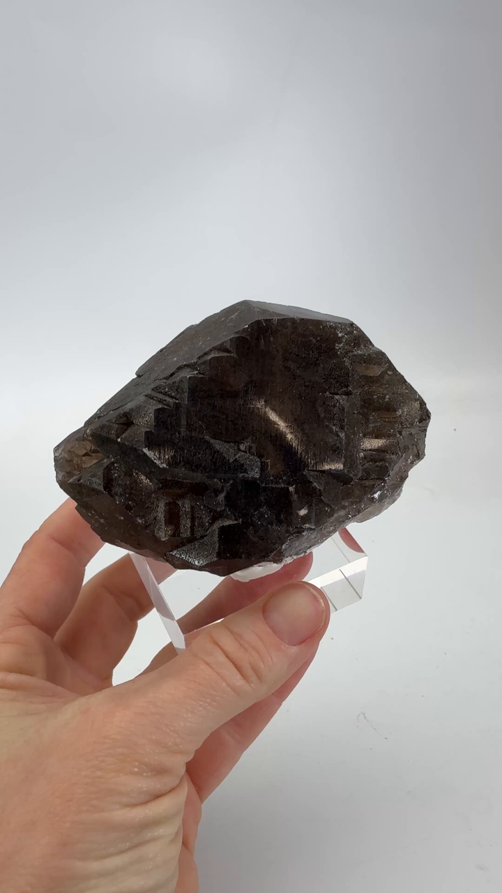 Smoky Quartz Gwindel from Mt. Blanc DX4590