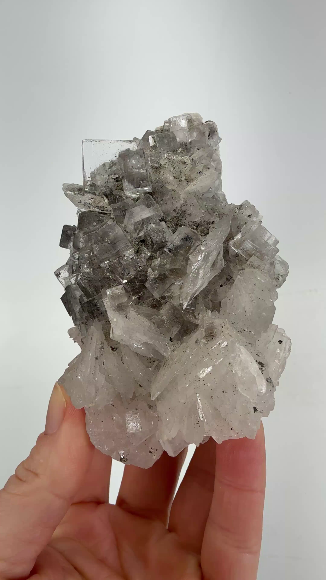 Fluorite with Barite from Emilio Mine DX4792