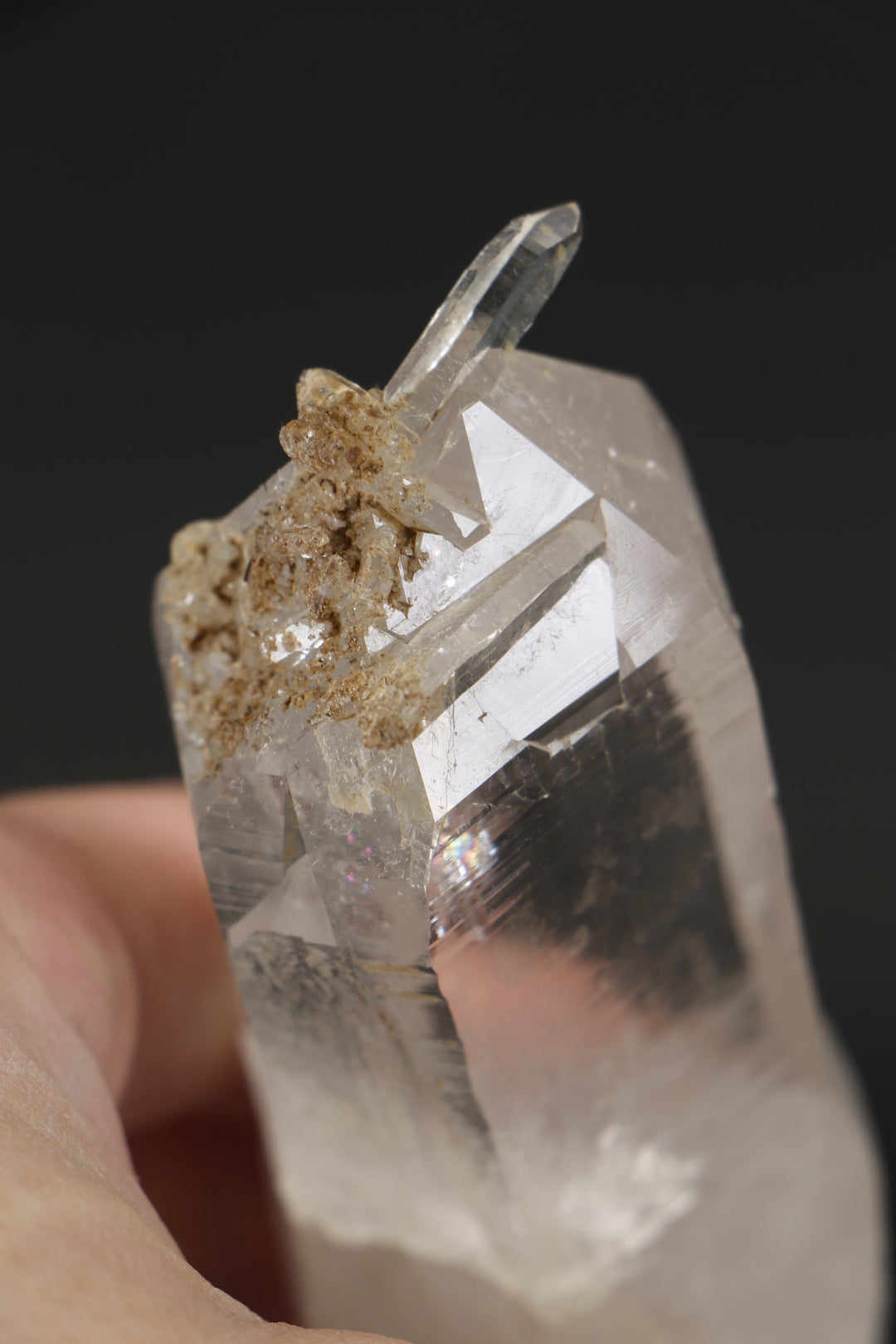 5" Himalayan Quartz Crystal DX4862