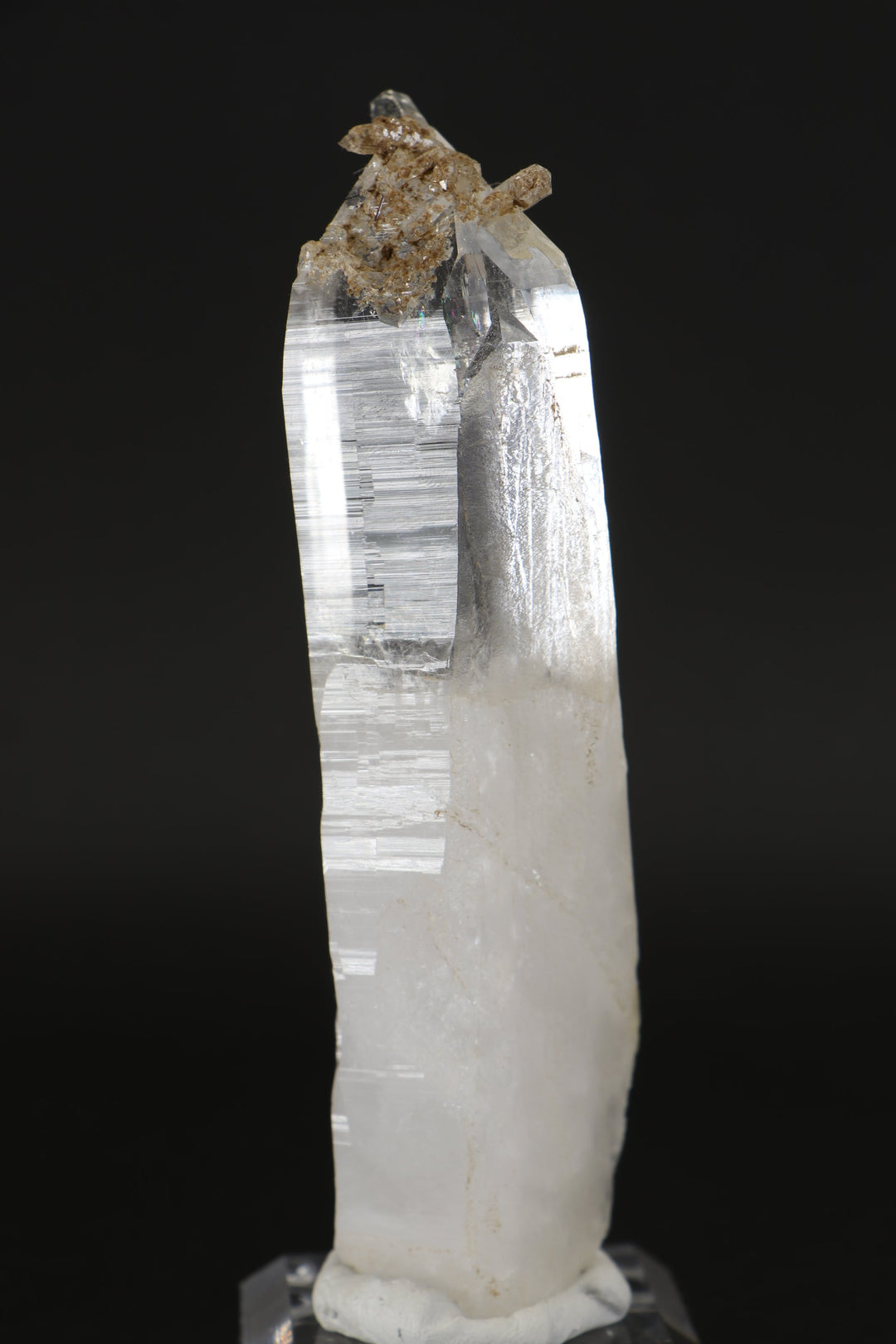 5" Himalayan Quartz Crystal DX4862