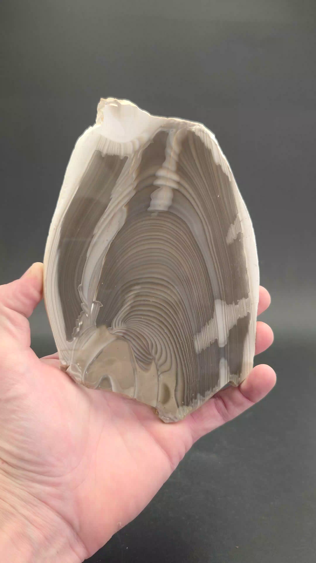 Polish Flint Slab DX501