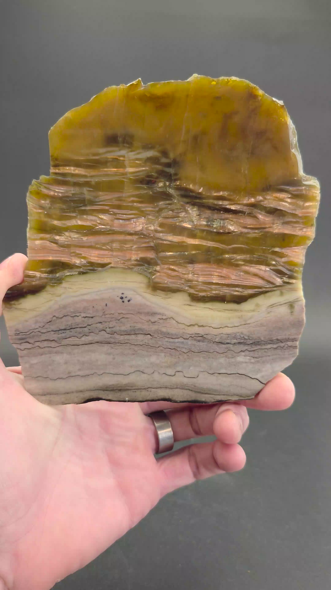Arizona Pietersite Slab DX652