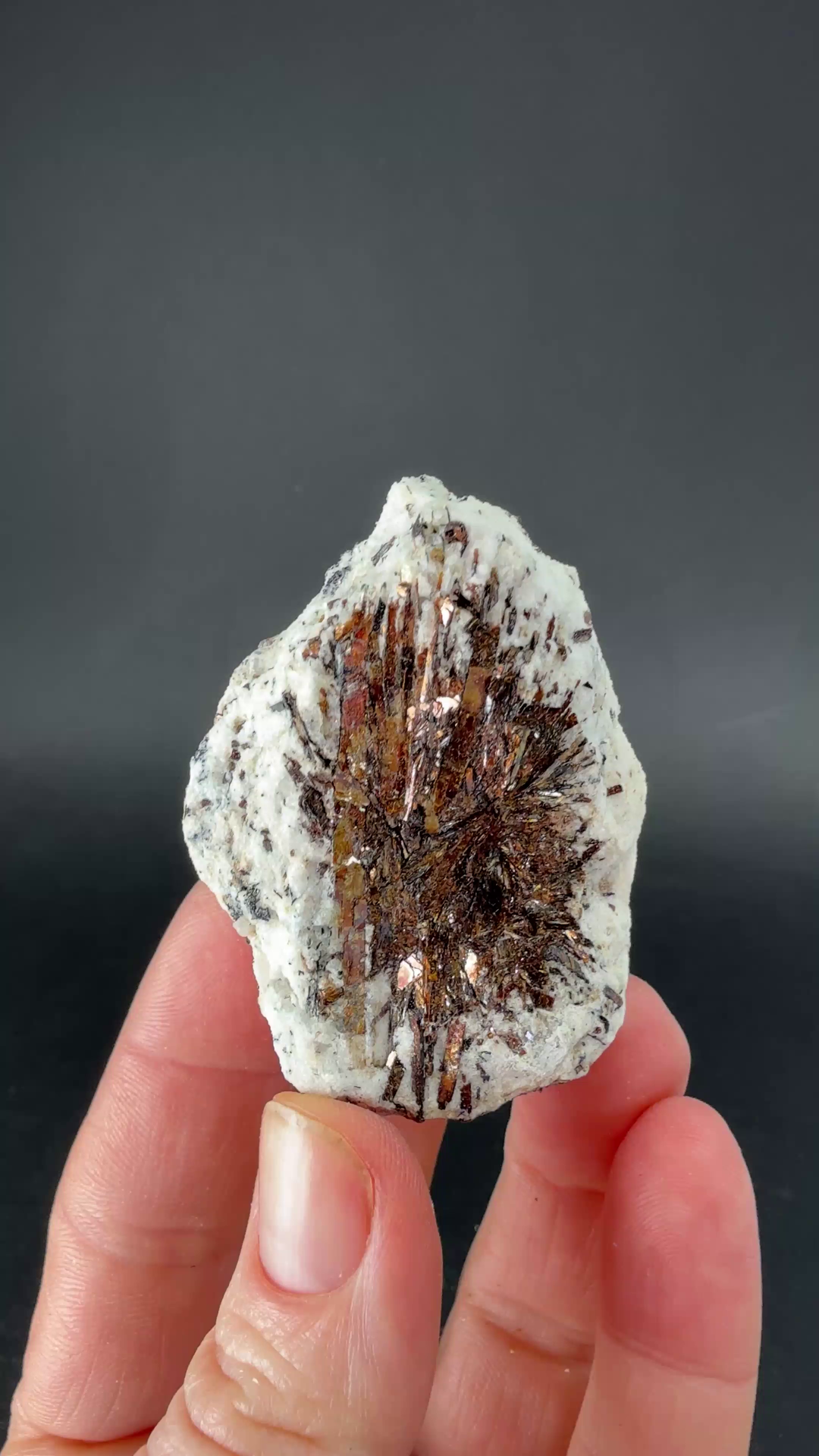 Astrophyllite Specimen from Russia DX661