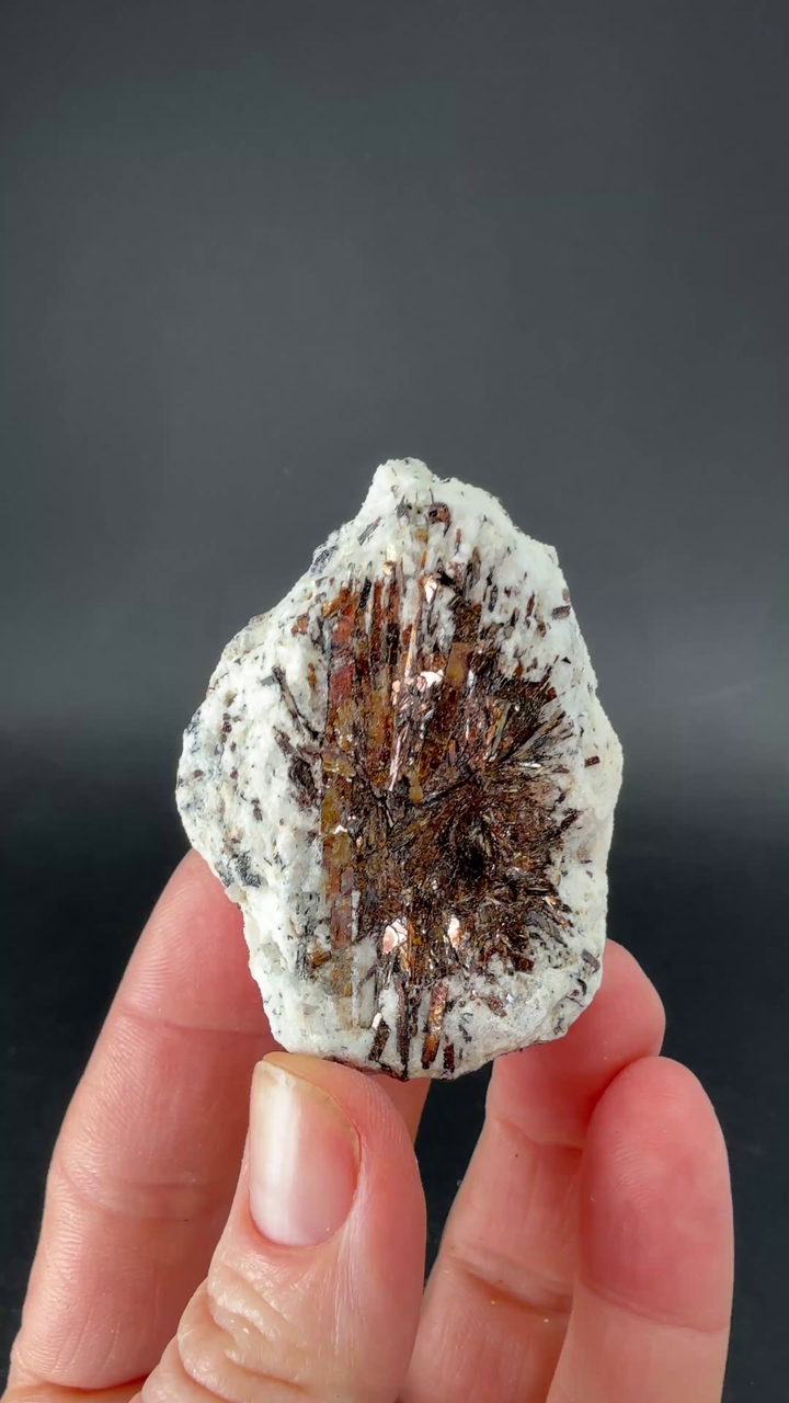 Astrophyllite Specimen from Russia DX661