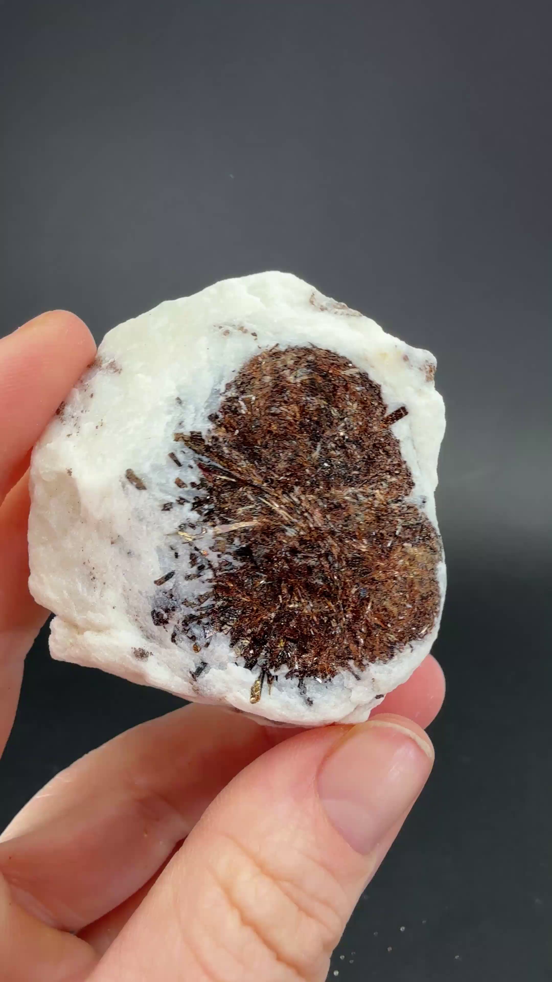 Astrophyllite Specimen from Russia DX662