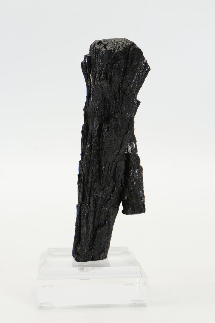 Tourmaline var. Schorl - Aracuai, Brazil DS413