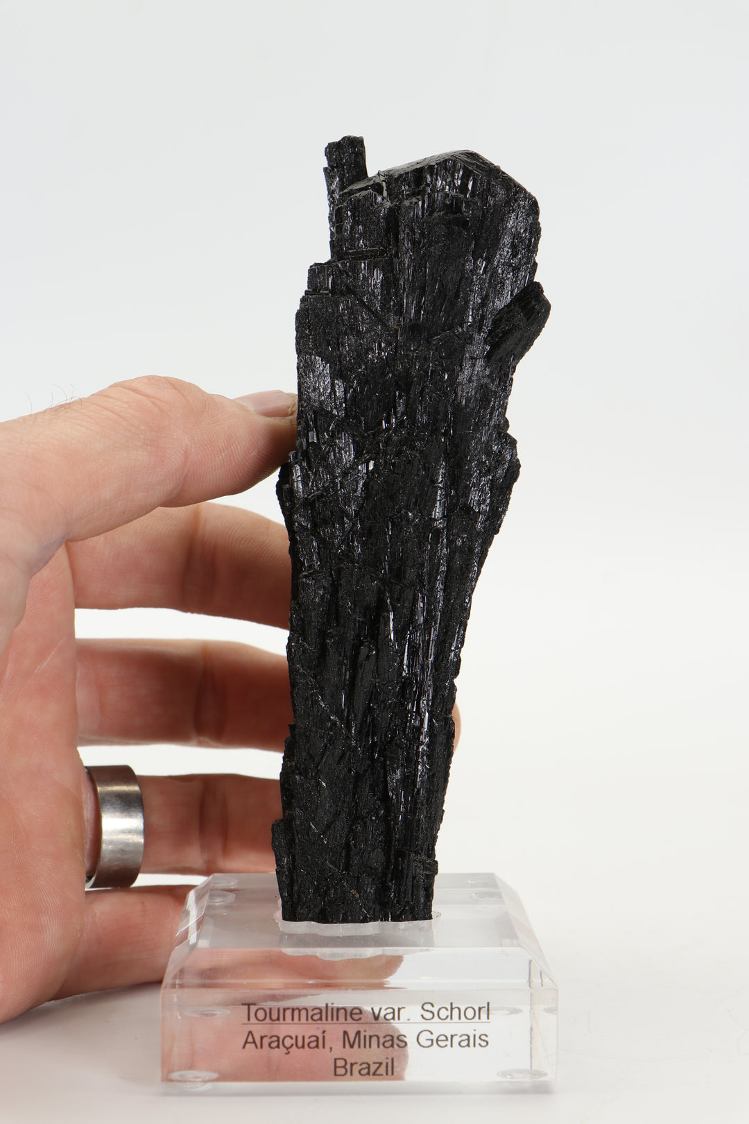 Tourmaline var. Schorl - Aracuai, Brazil DS413