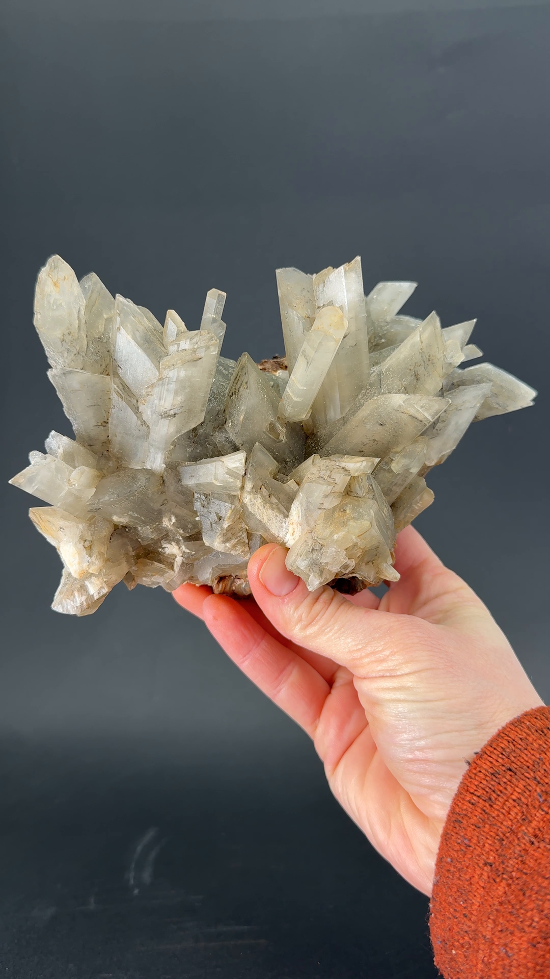 Gypsum Selenite Cluster from Tuscany, Italy TF8001