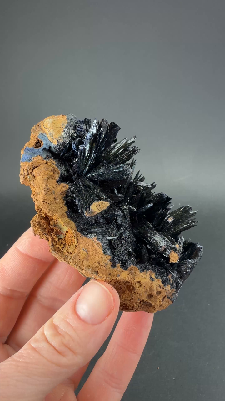 Vivianite Crystal Specimen from Ukraine CL006