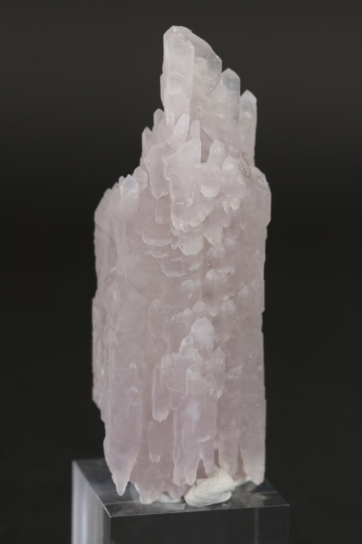 Amethyst - Royal Castle Claim, New Mexico DX1469