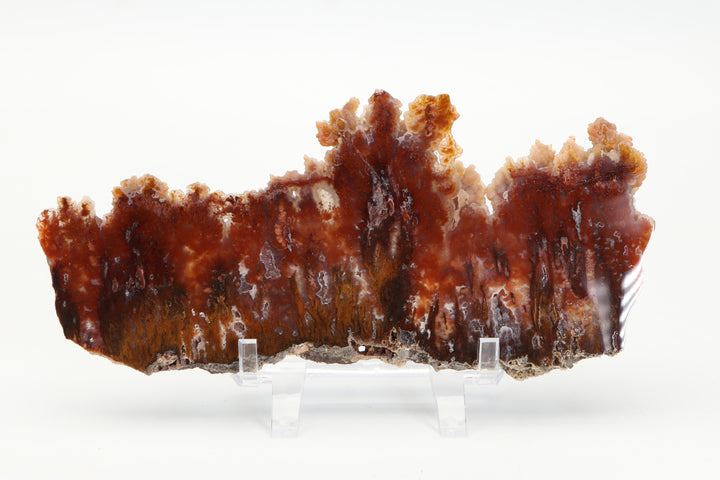 Sicat Plume Agate Slab - Cady Mt, CA TD3820