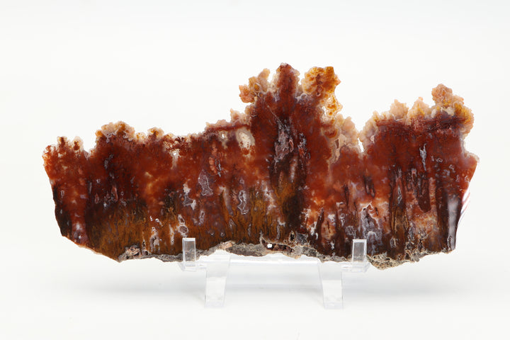 Sicat Plume Agate Slab - Cady Mt, CA TD3820