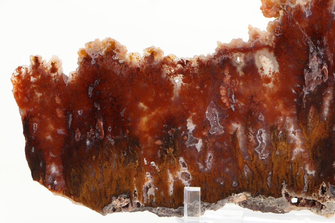 Sicat Plume Agate Slab - Cady Mt, CA TD3820