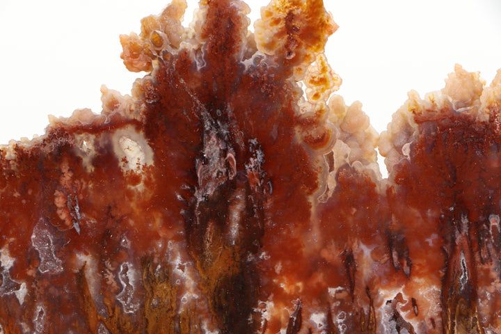 Sicat Plume Agate Slab - Cady Mt, CA TD3820