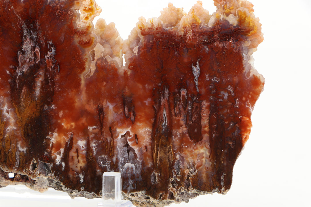 Sicat Plume Agate Slab - Cady Mt, CA TD3820